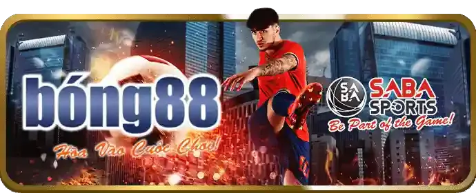 Chiến lược cá cược hiệu quả tại bk888 Nhà Cái